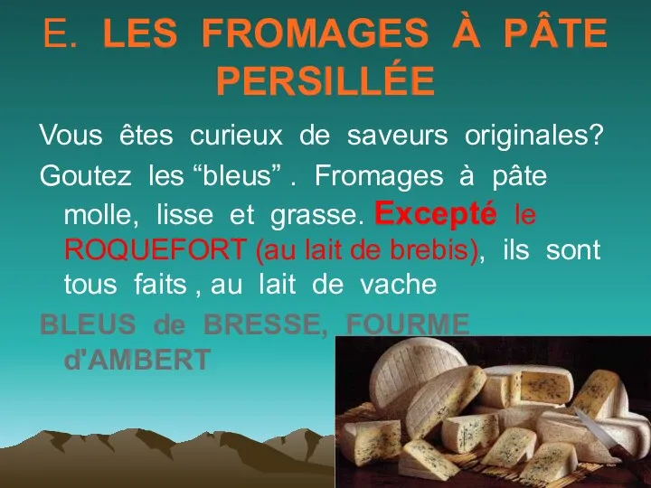 E. LES FROMAGES À PÂTE PERSILLÉE Vous êtes curieux de