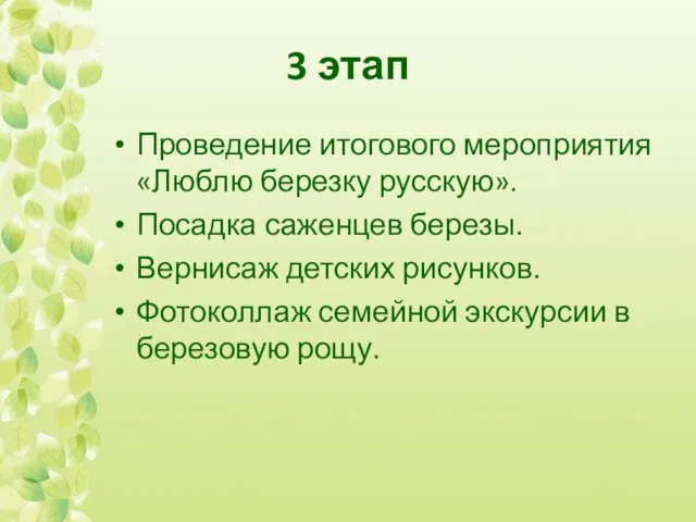 3 этап Проведение итогового мероприятия «Люблю березку русскую». Посадка саженцев