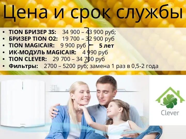 Цена и срок службы TION БРИЗЕР 3S: 34 900 – 43 900 руб;