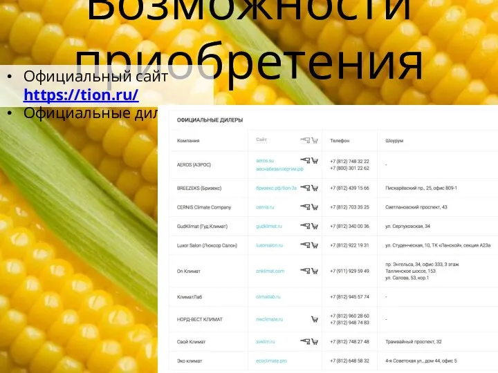 Возможности приобретения Официальный сайт https://tion.ru/ Официальные дилеры