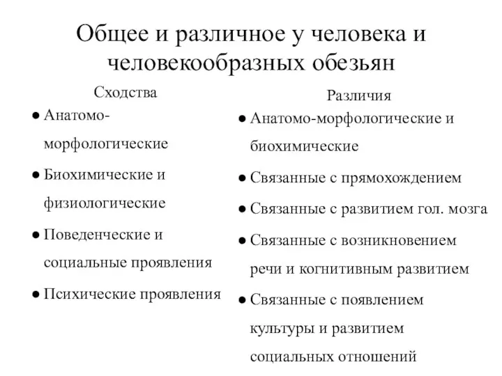 Общее и различное у человека и человекообразных обезьян Сходства Анатомо-морфологические