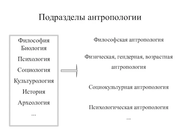 Подразделы антропологии Философия Биология Психология Социология Культурология История Археология ...