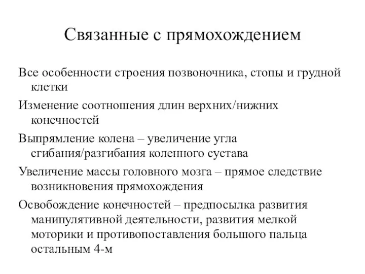 Связанные с прямохождением Все особенности строения позвоночника, стопы и грудной