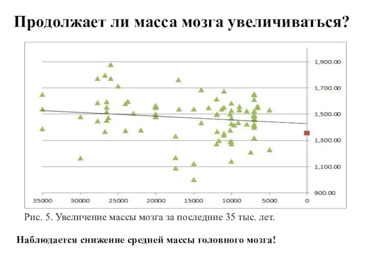 Продолжает ли масса мозга увеличиваться? Рис. 5. Увеличение массы мозга