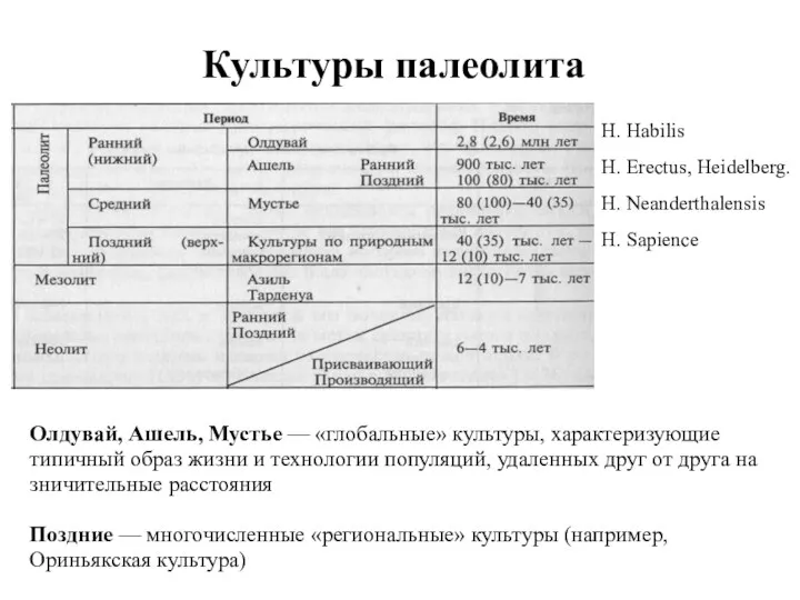 Культуры палеолита Олдувай, Ашель, Мустье — «глобальные» культуры, характеризующие типичный