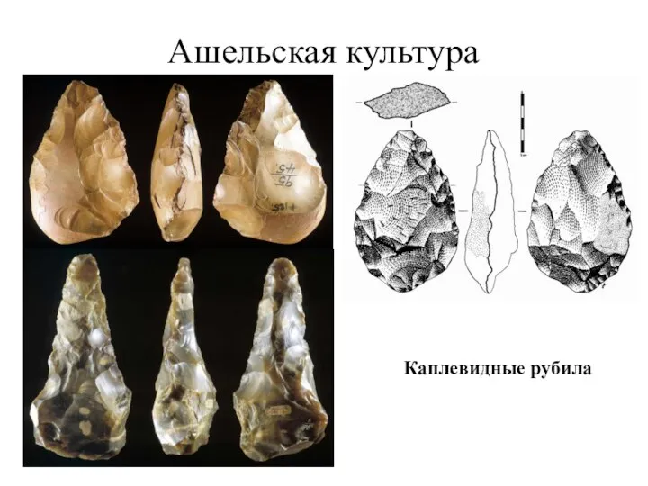 Ашельская культура Каплевидные рубила