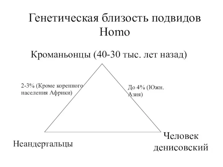 Генетическая близость подвидов Homo Неандертальцы Кроманьонцы (40-30 тыс. лет назад)