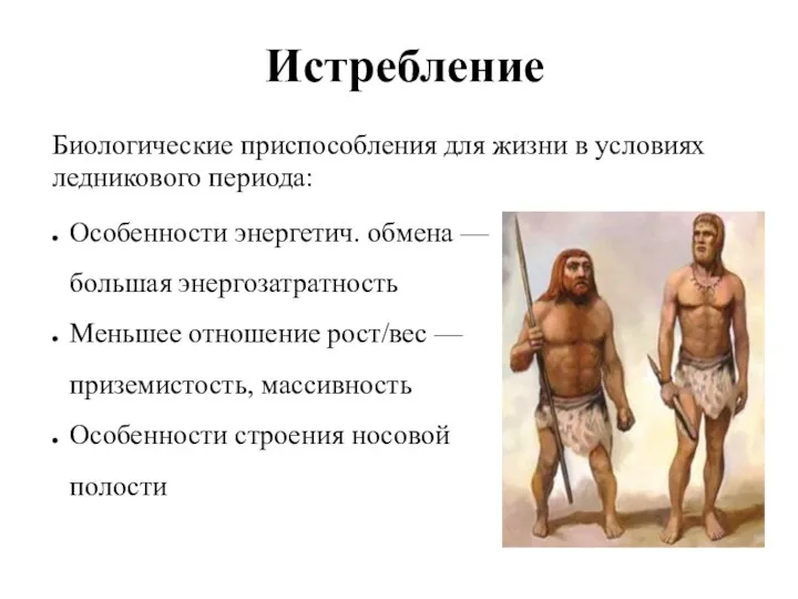 Истребление Биологические приспособления для жизни в условиях ледникового периода: Особенности