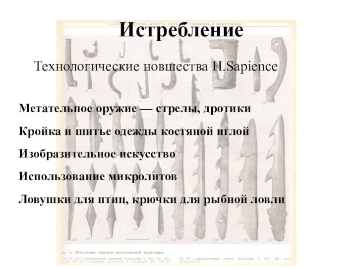 Истребление Технологические новшества H.Sapience Метательное оружие — стрелы, дротики Кройка