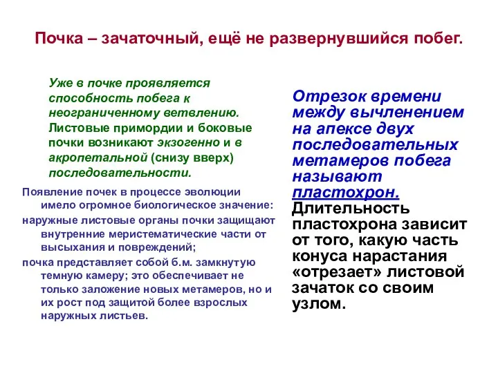 Почка – зачаточный, ещё не развернувшийся побег. Уже в почке проявляется способность побега