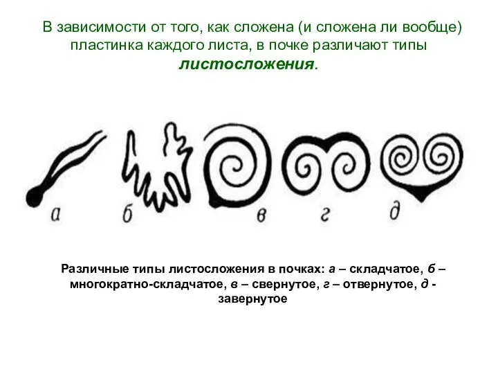 В зависимости от того, как сложена (и сложена ли вообще) пластинка каждого листа,