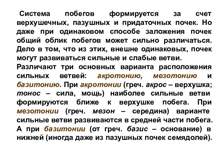 Система побегов формируется за счет верхушечных, пазушных и придаточных почек.