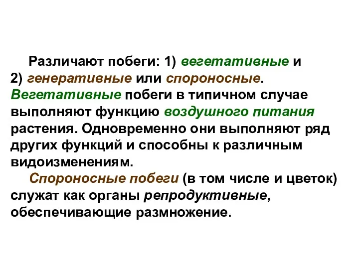 Различают побеги: 1) вегетативные и 2) генеративные или спороносные. Вегетативные