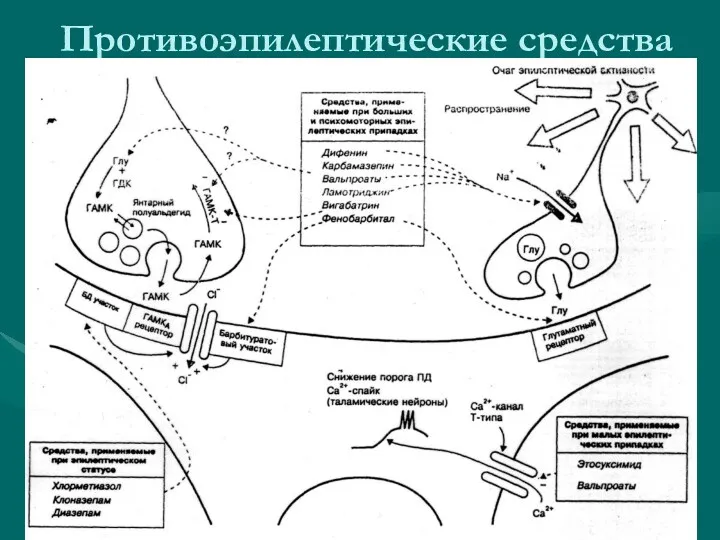 Противоэпилептические средства