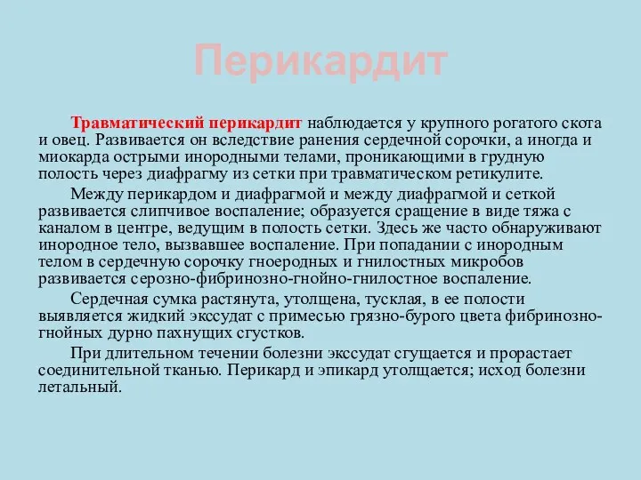 Перикардит Травматический перикардит наблюдается у крупного рогатого скота и овец.