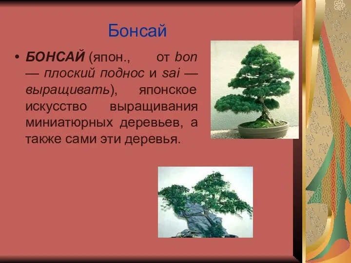 Бонсай БОНСАЙ (япон., от bon — плоский поднос и sai