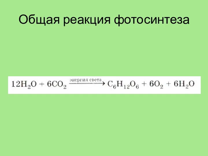 Общая реакция фотосинтеза