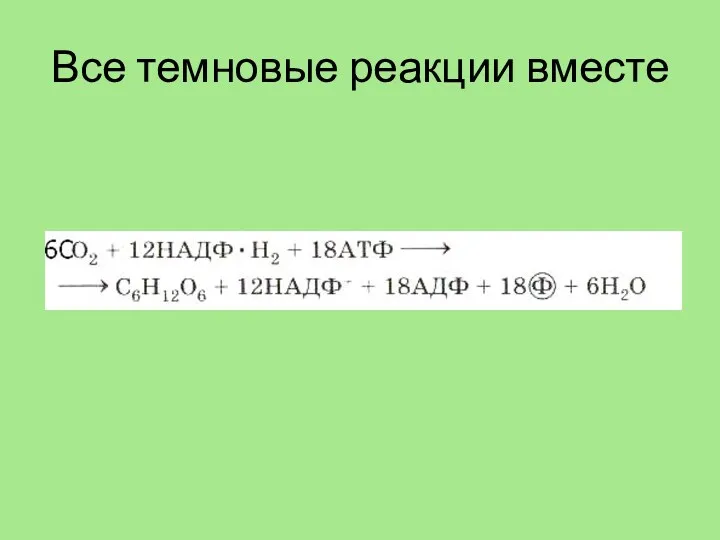 Все темновые реакции вместе