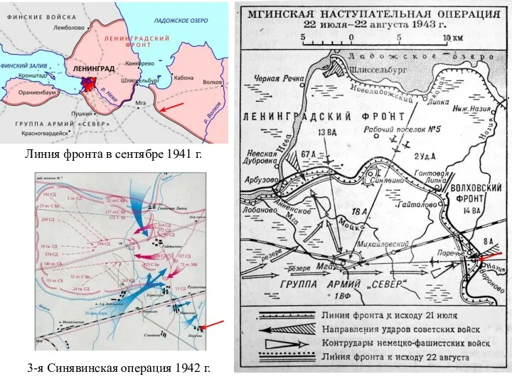 Линия фронта в сентябре 1941 г. 3-я Синявинская операция 1942 г.
