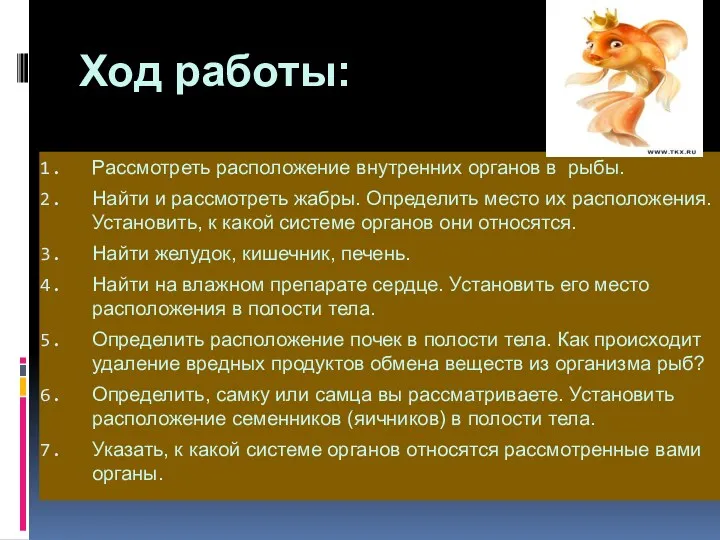 Ход работы: Рассмотреть расположение внутренних органов в рыбы. Найти и