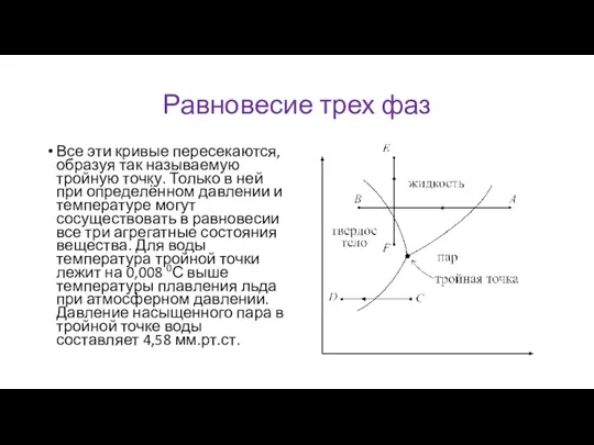 Равновесие трех фаз Все эти кривые пересекаются, образуя так называемую