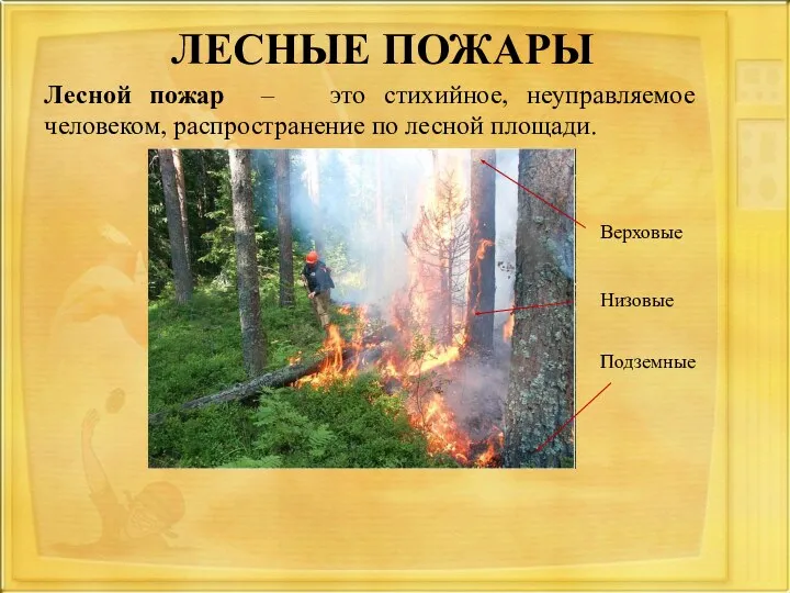 ЛЕСНЫЕ ПОЖАРЫ Лесной пожар – это стихийное, неуправляемое человеком, распространение по лесной площади. Верховые Низовые Подземные