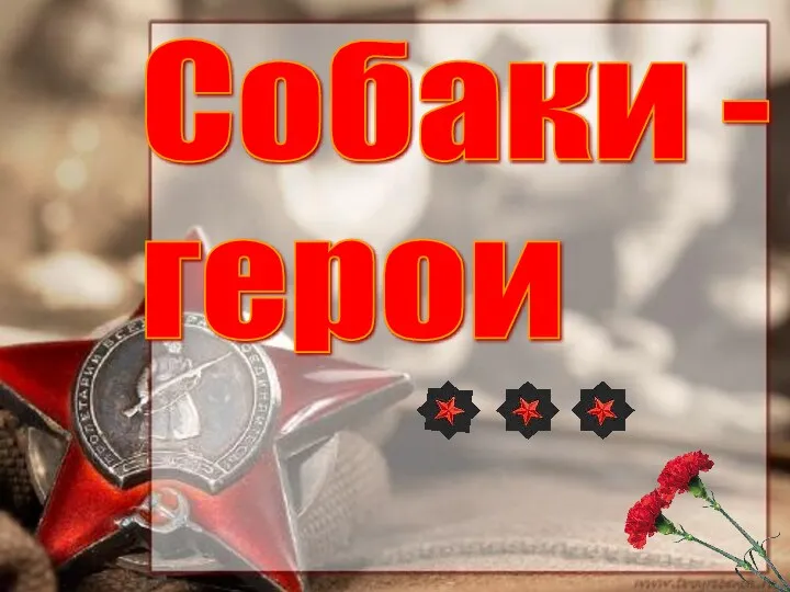 Собаки - герои