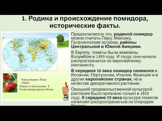 1. Родина и происхождение помидора, исторические факты. Предполагается что, родиной