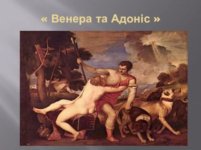 « Венера та Адоніс »