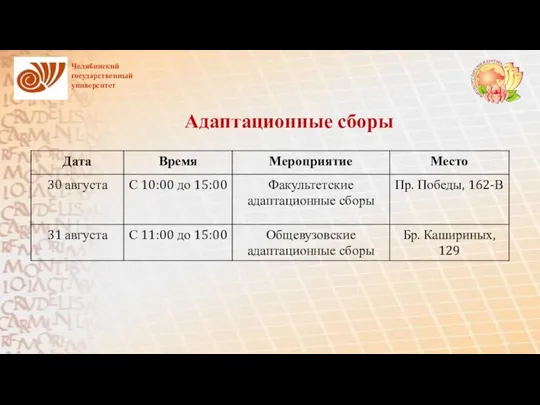 Адаптационные сборы Челябинский государственный университет