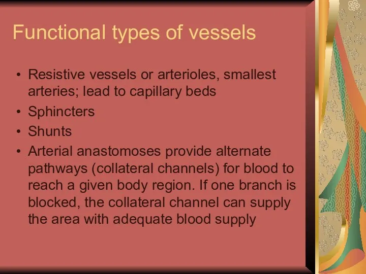 Functional types of vessels Resistive vessels or arterioles, smallest arteries;