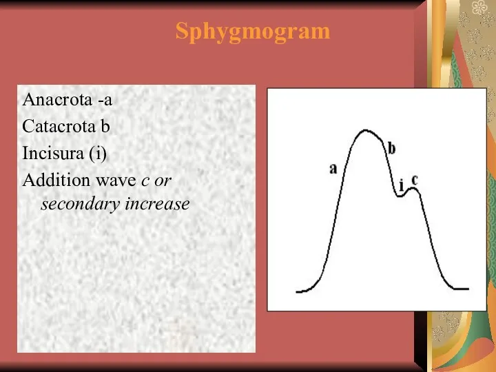 Sphygmogram Anacrota -а Catacrota b Incisura (i) Addition wave с or secondary increase