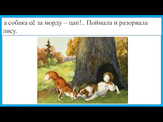 а собака её за морду – цап!.. Поймала и разорвала лису.