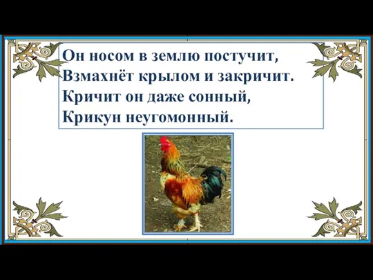 Он носом в землю постучит, Взмахнёт крылом и закричит. Кричит он даже сонный, Крикун неугомонный.