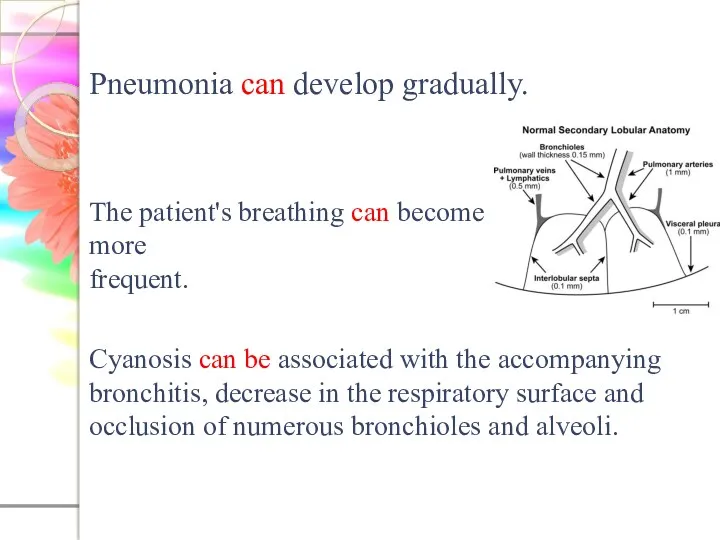 Pneumonia can develop gradually. The patient's breathing can become more