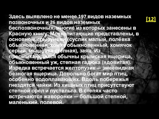 Здесь выявлено не менее 197 видов наземных позвоночных и 26 видов наземных беспозвоночных,