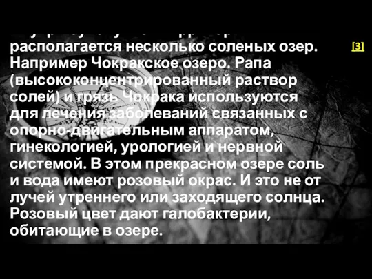 Внутри сухопутной территории располагается несколько соленых озер. Например Чокракское озеро. Рапа (высококонцентрированный раствор