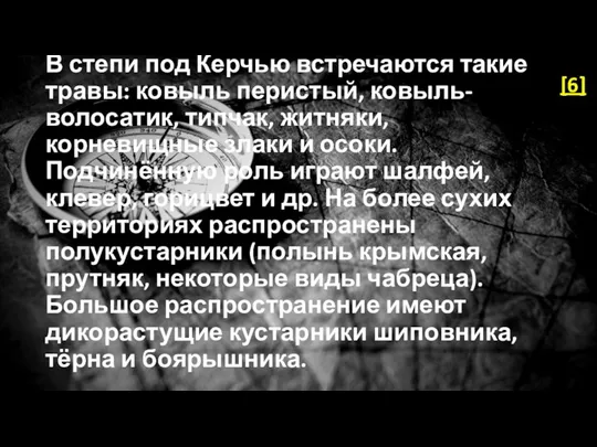 В степи под Керчью встречаются такие травы: ковыль перистый, ковыль-волосатик, типчак, житняки, корневищные