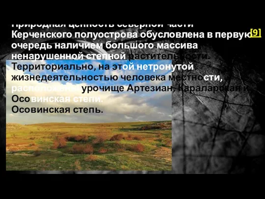Природная ценность северной части Керченского полуострова обусловлена в первую очередь наличием большого массива