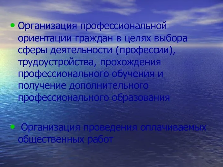 Организация профессиональной ориентации граждан в целях выбора сферы деятельности (профессии),