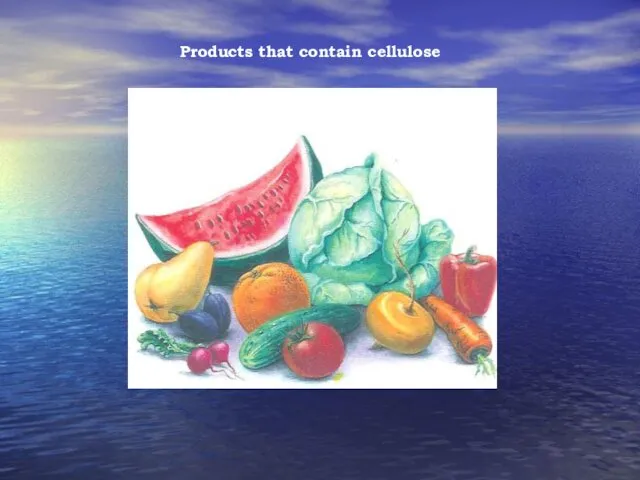 Products that contain cellulose
