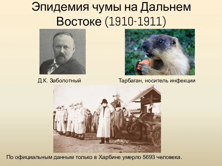 Эпидемия чумы на Дальнем Востоке (1910-1911) Д.К. Заболотный По официальным