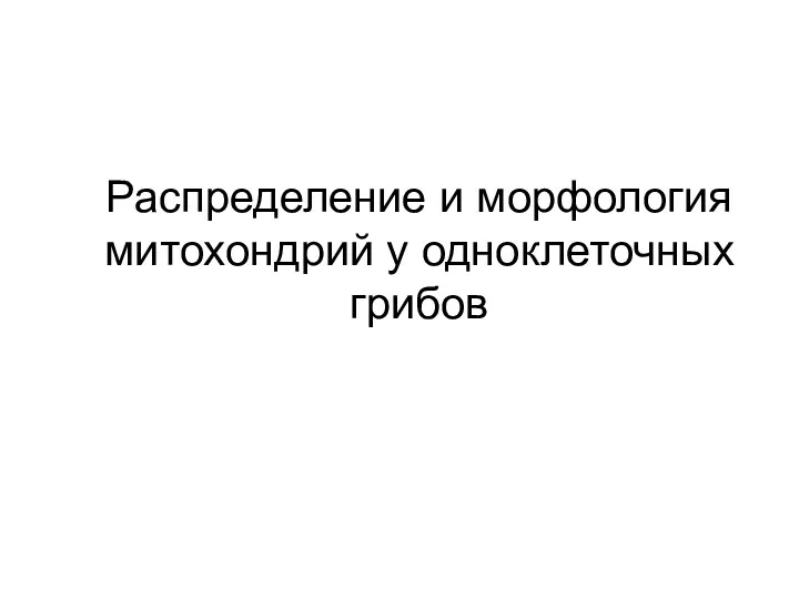 Распределение и морфология митохондрий у одноклеточных грибов