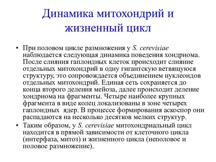 Динамика митохондрий и жизненный цикл При половом цикле размножения у