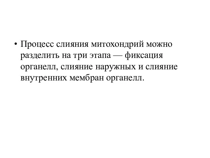 Процесс слияния митохондрий можно разделить на три этапа — фиксация