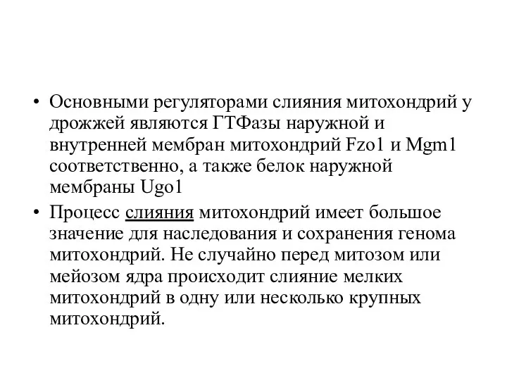 Основными регуляторами слияния митохондрий у дрожжей являются ГТФазы наружной и