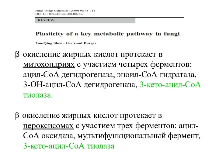 β-окисление жирных кислот протекает в митохондриях с участием четырех ферментов: