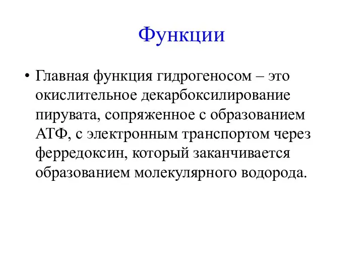 Функции Главная функция гидрогеносом – это окислительное декарбоксилирование пирувата, сопряженное