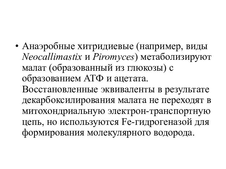 Анаэробные хитридиевые (например, виды Neocallimastix и Piromyces) метаболизируют малат (образованный