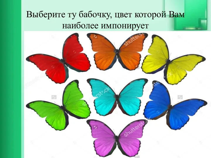 Выберите ту бабочку, цвет которой Вам наиболее импонирует